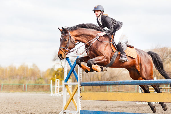 LAU Student Horse-riding